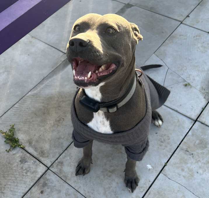 Photo of Monte