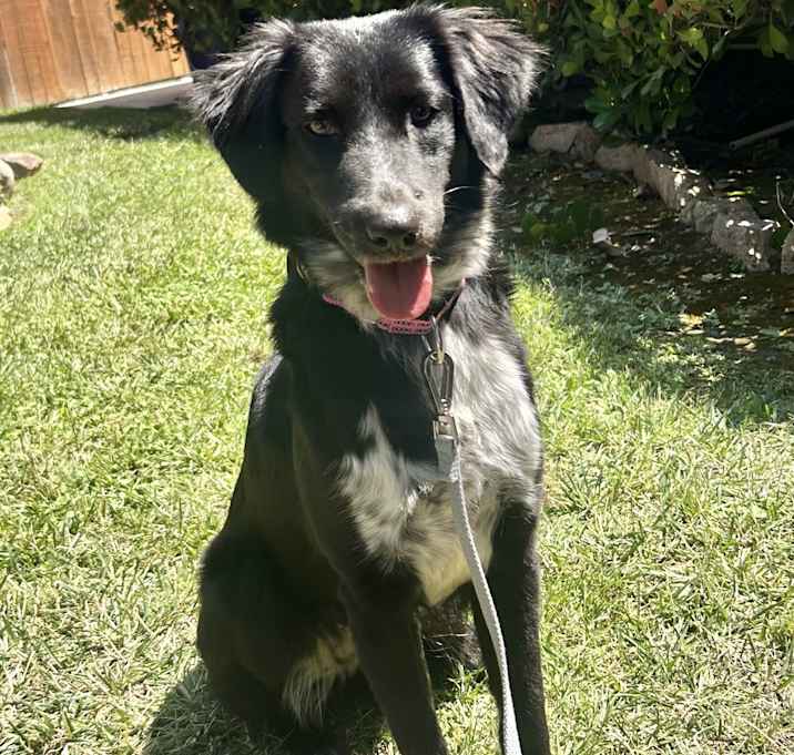 Photo of Nellie