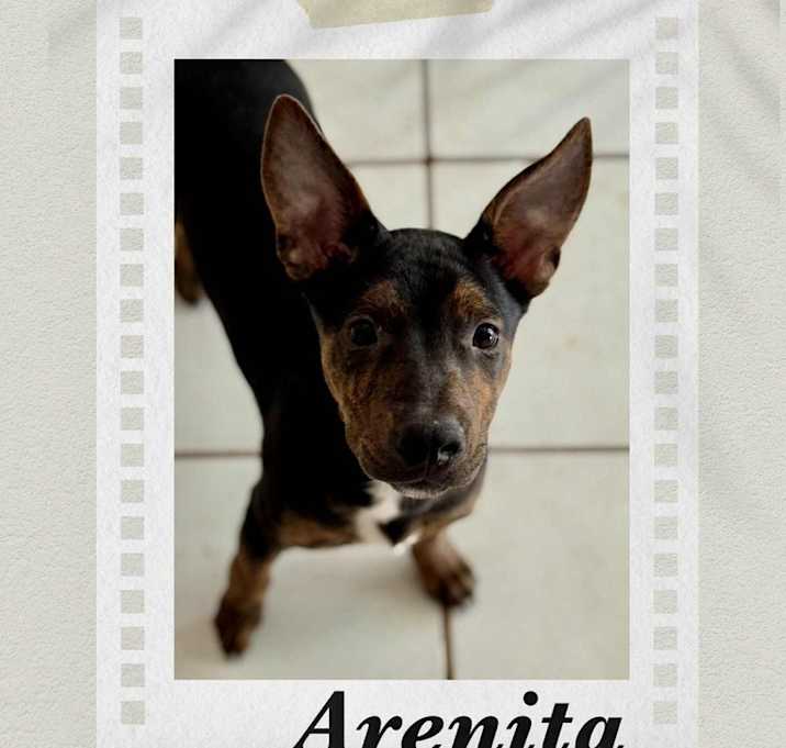 Photo of Arenita