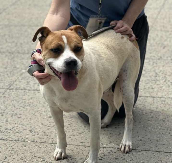 Photo of Trusty