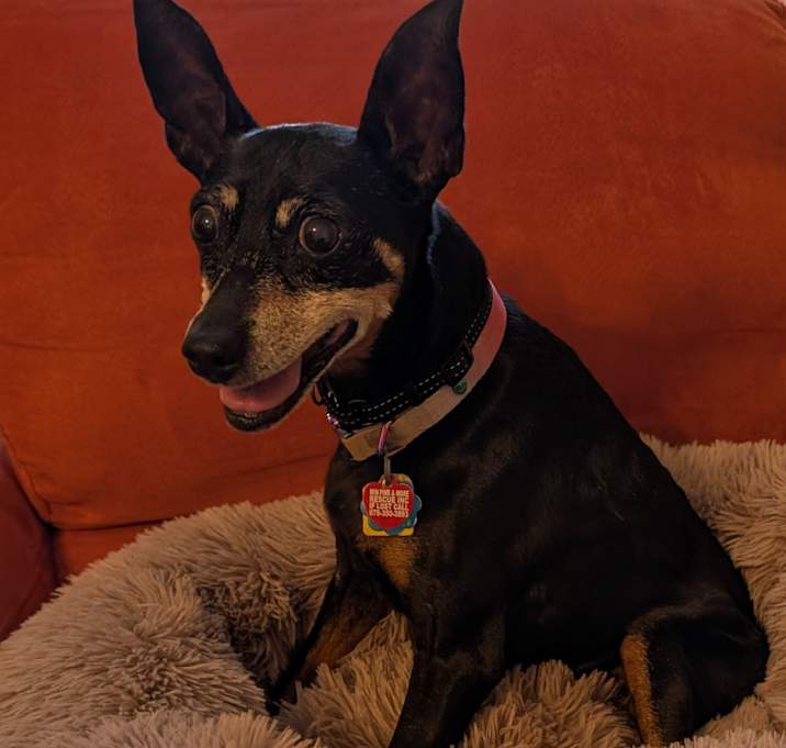 Photo of Ari