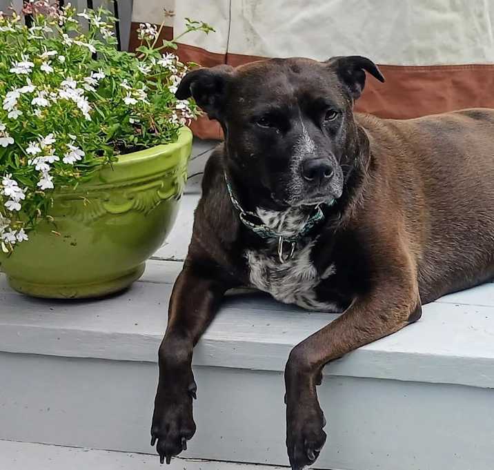 Photo of Callie Local