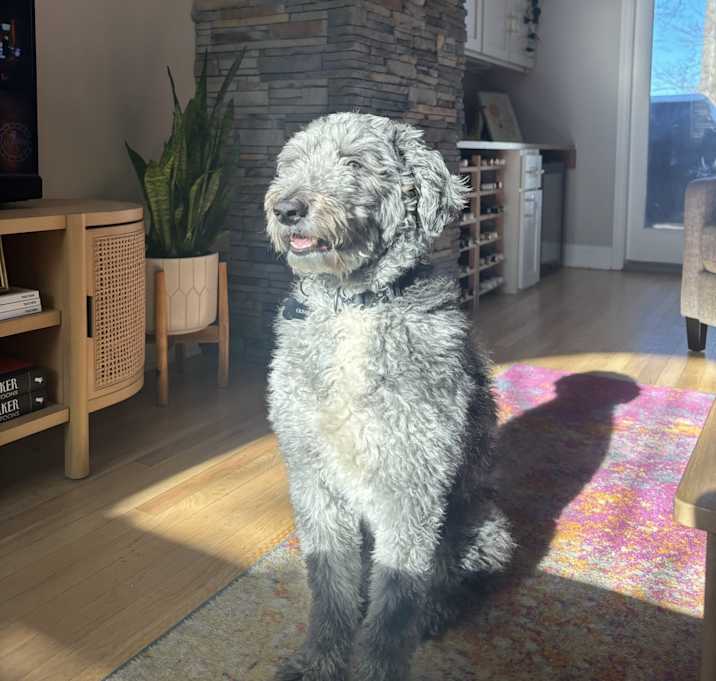 Photo of Oliver