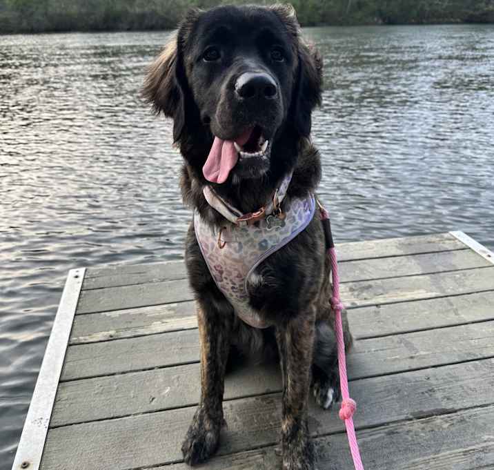 Photo of Winnie