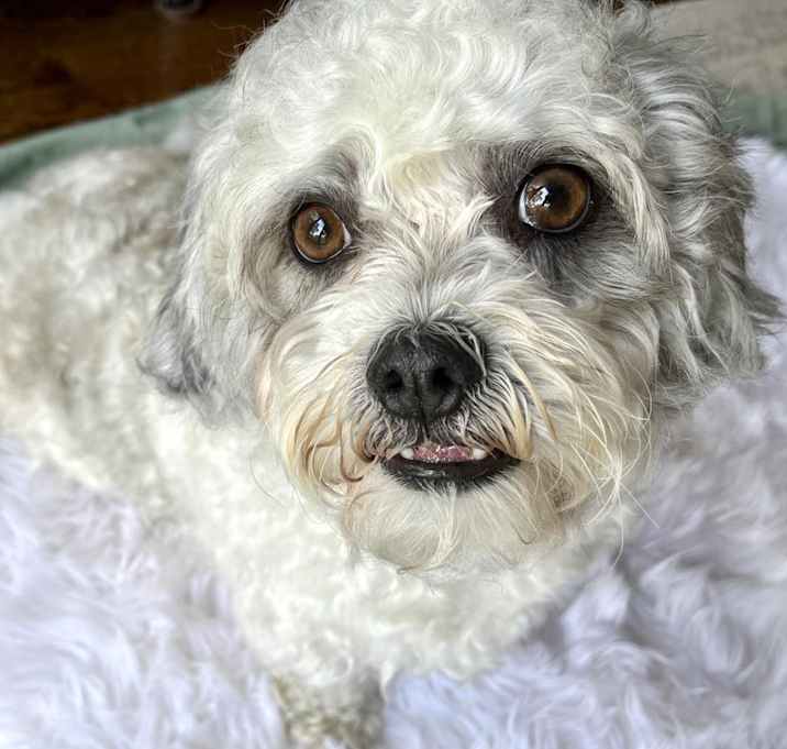 Photo of Popcorn