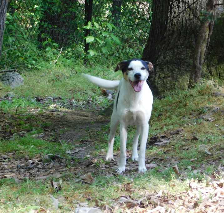 Photo of Patches