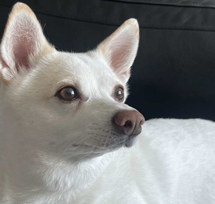 Photo of Binnie