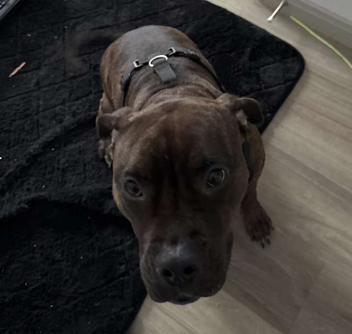 Photo of Sasha