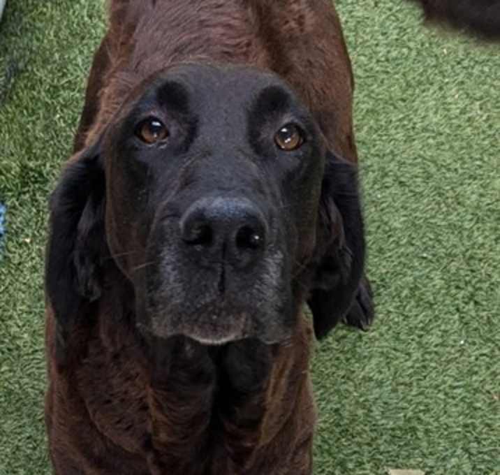 Photo of LUCY