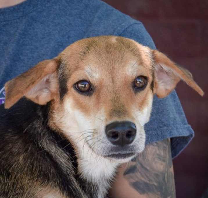 Photo of Clementine