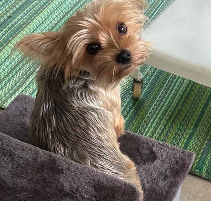 Photo of Cleo