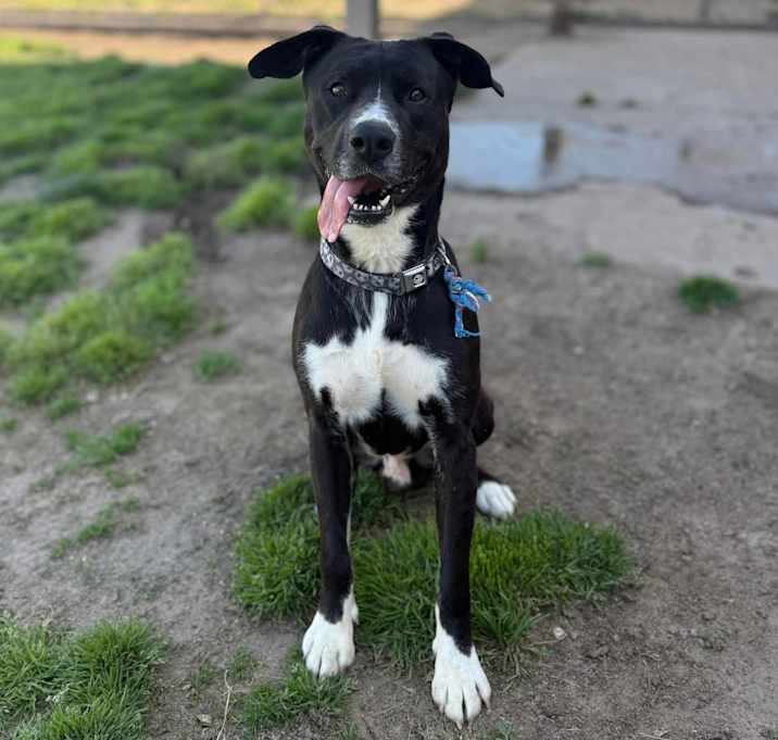 Photo of Sid