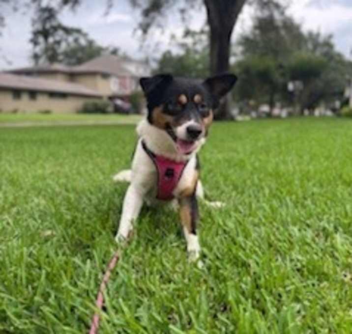 Photo of Fiona