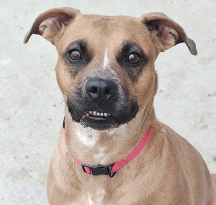 Photo of Roo
