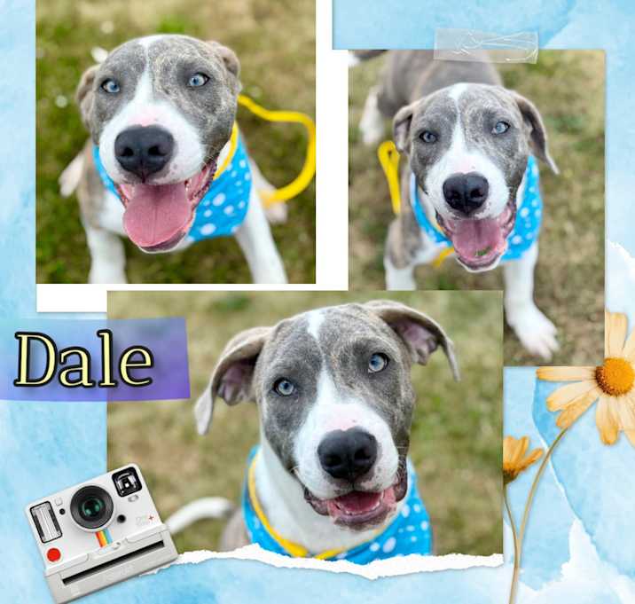 Photo of Dale