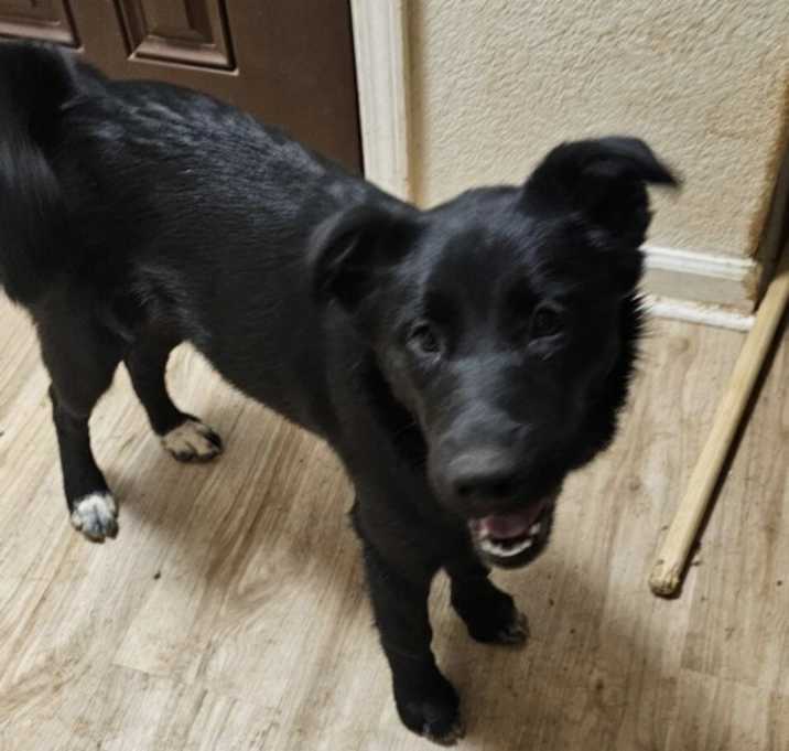 Photo of Ninja