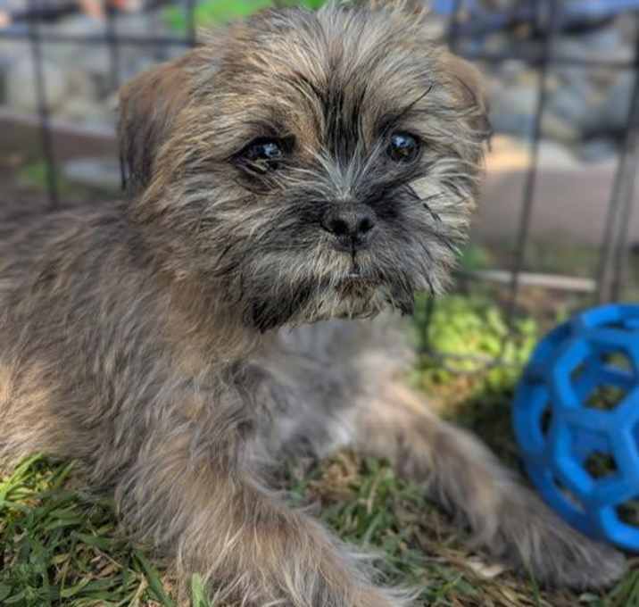 Photo of Fern