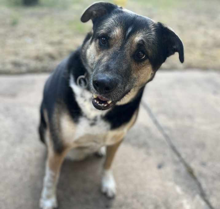 Photo of Odin