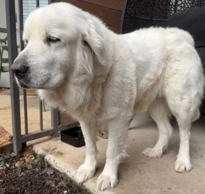 Photo of Lucy