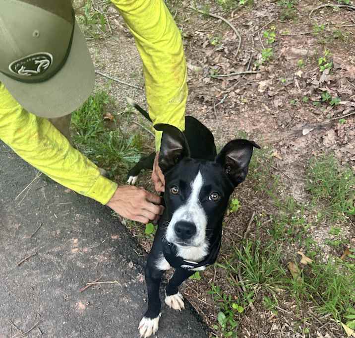 Photo of Bentley