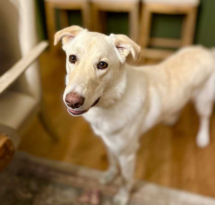 Photo of Winnie
