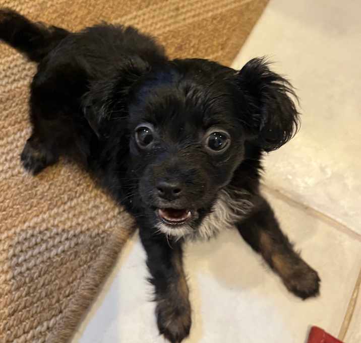 Photo of Zara