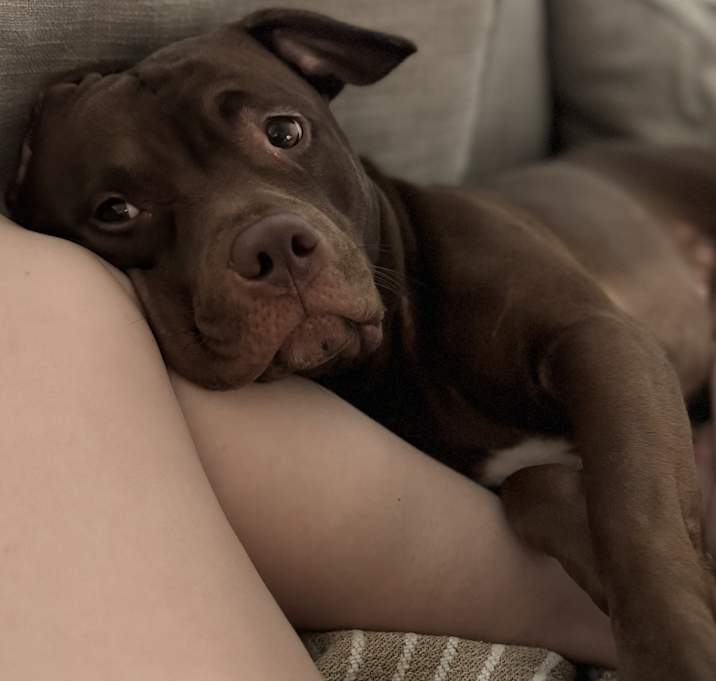 Photo of Lilith aka Tiny