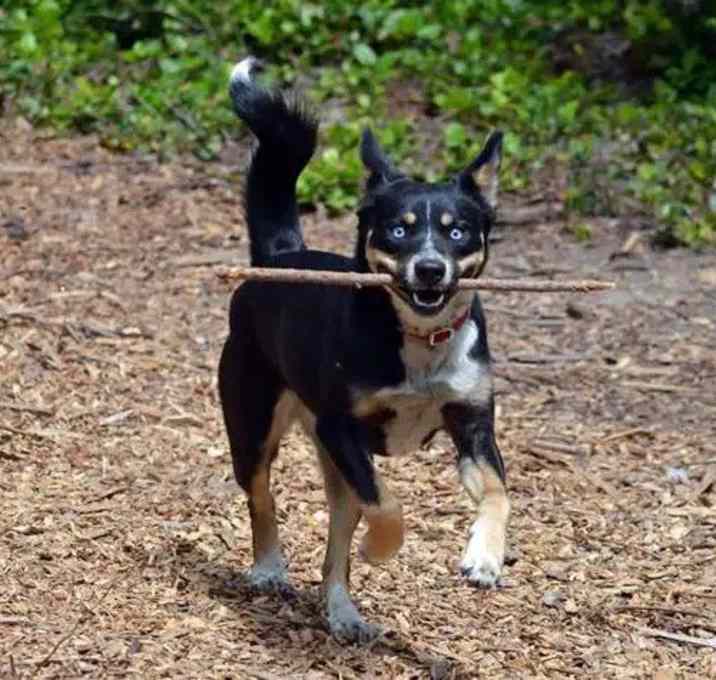 Photo of Yuki