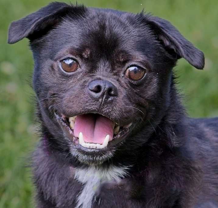 Photo of Milo
