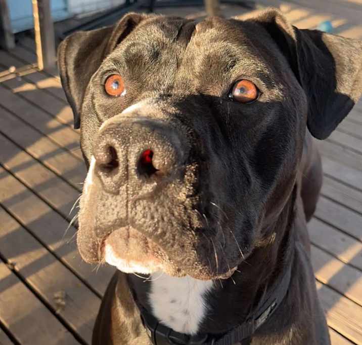 Photo of Rico