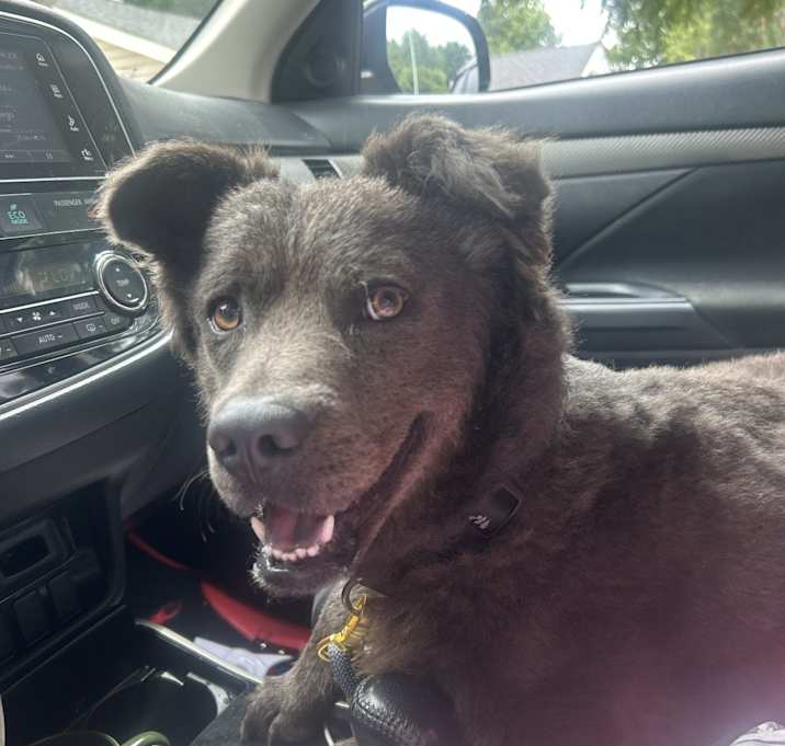Photo of Oso