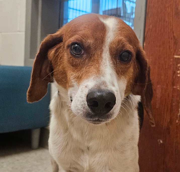 Photo of Marley