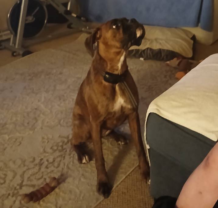 Photo of Oakley