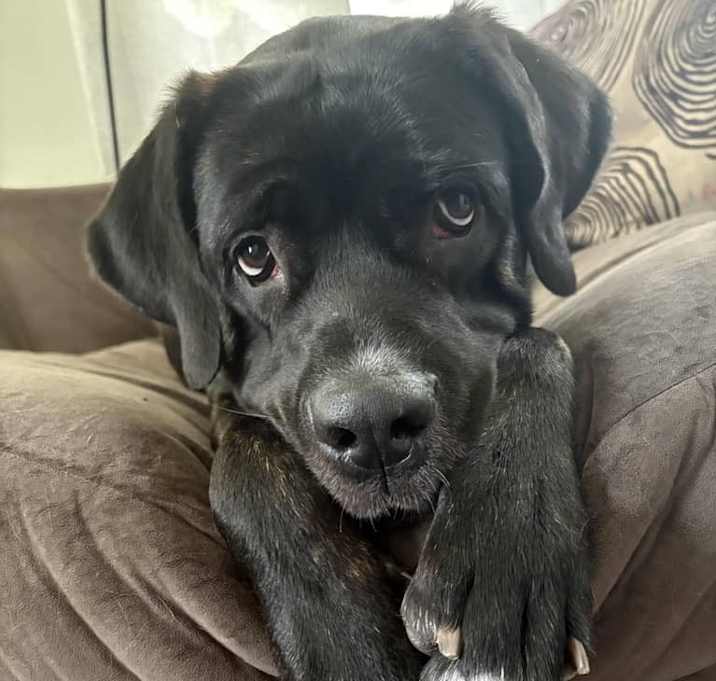 Photo of Dakota