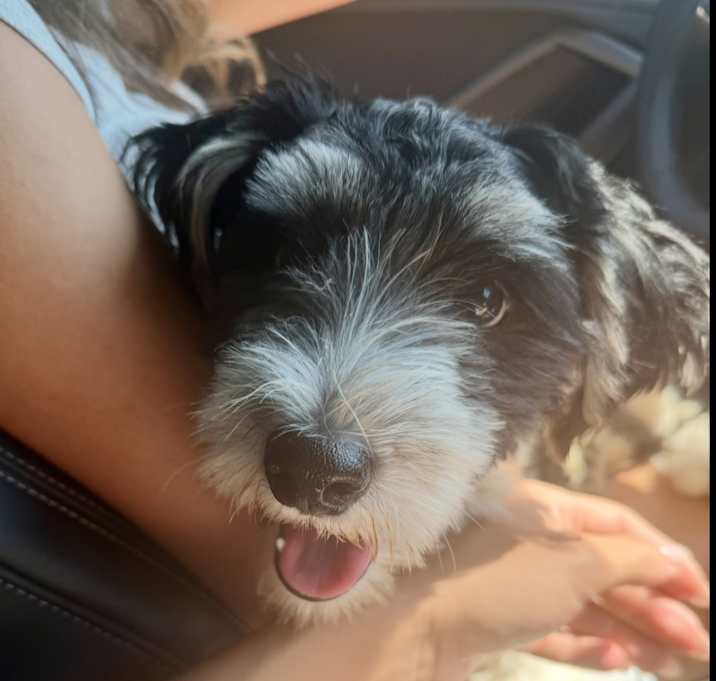 Photo of Mr. Charles (Charlie)