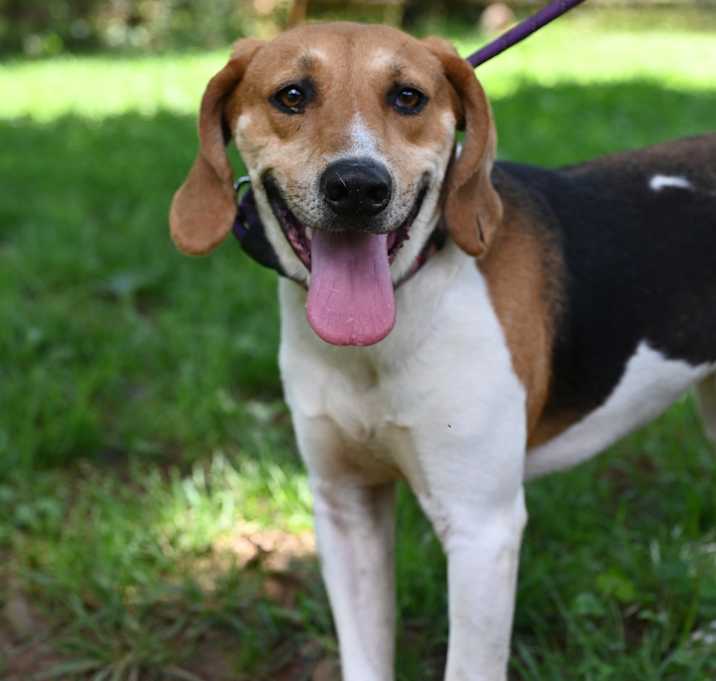 Photo of Alvin