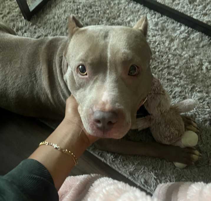 Photo of Storm