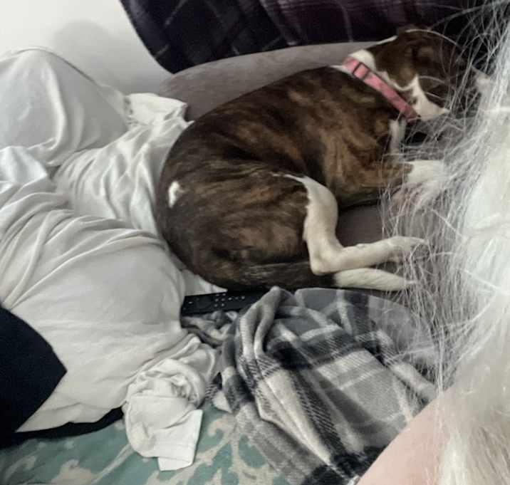 Photo of Coco