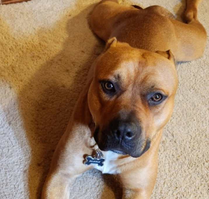 Photo of Bumble