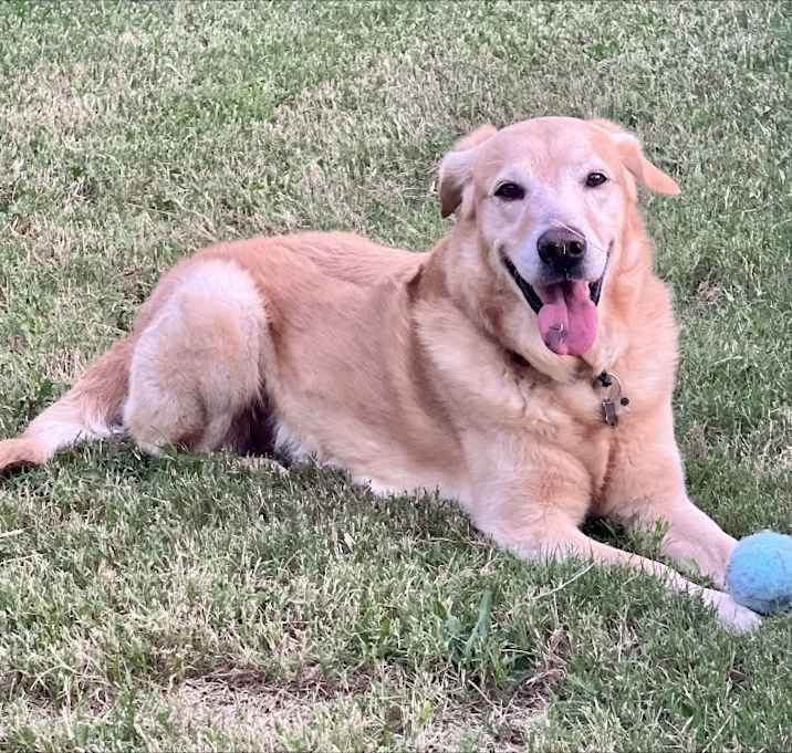 Photo of Big Boy