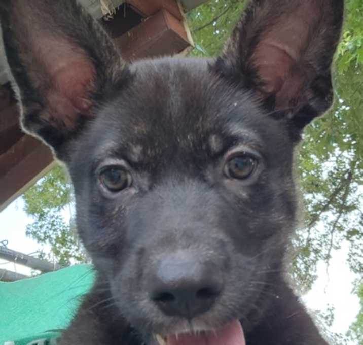 Photo of Tango