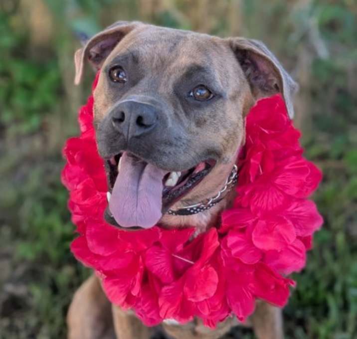 Photo of Oakley