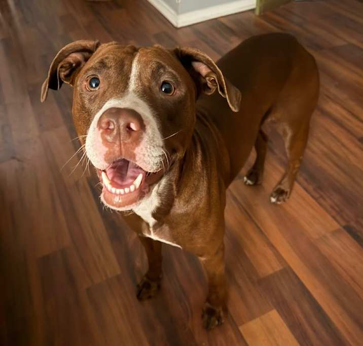 Photo of Willow