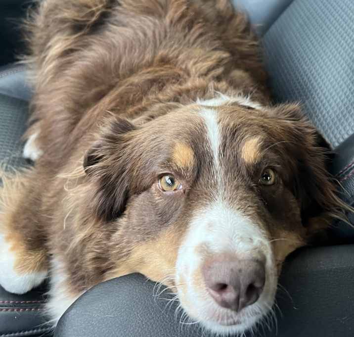 Photo of Remi
