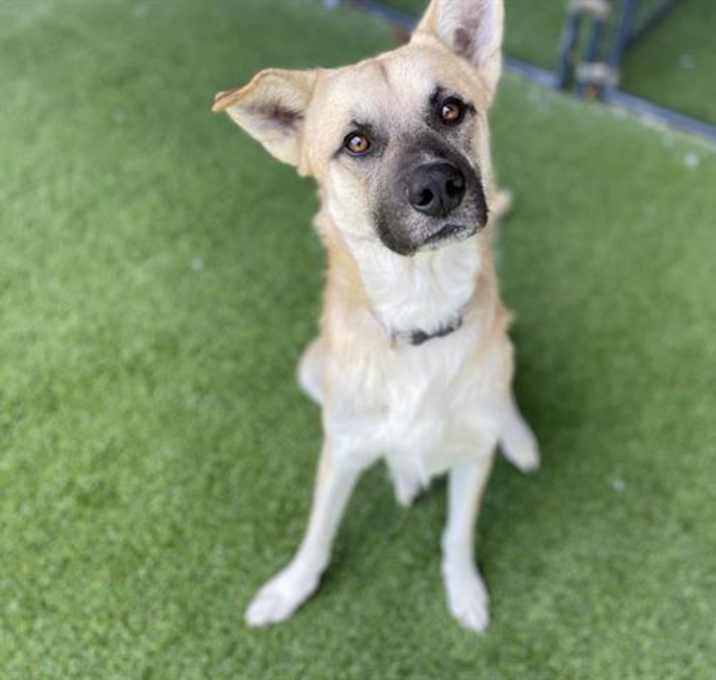 Photo of LOKI