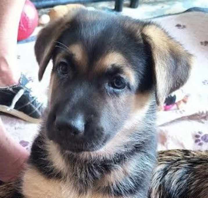 Photo of Lily