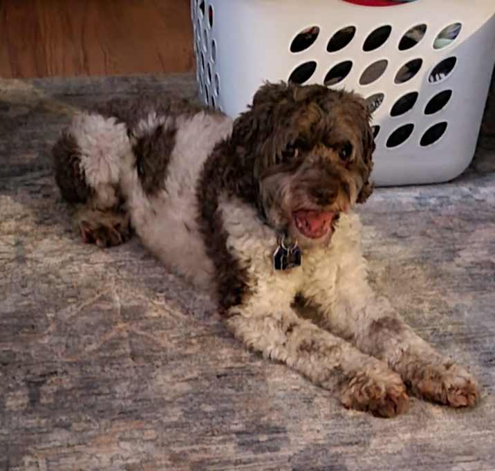 Photo of Rudy