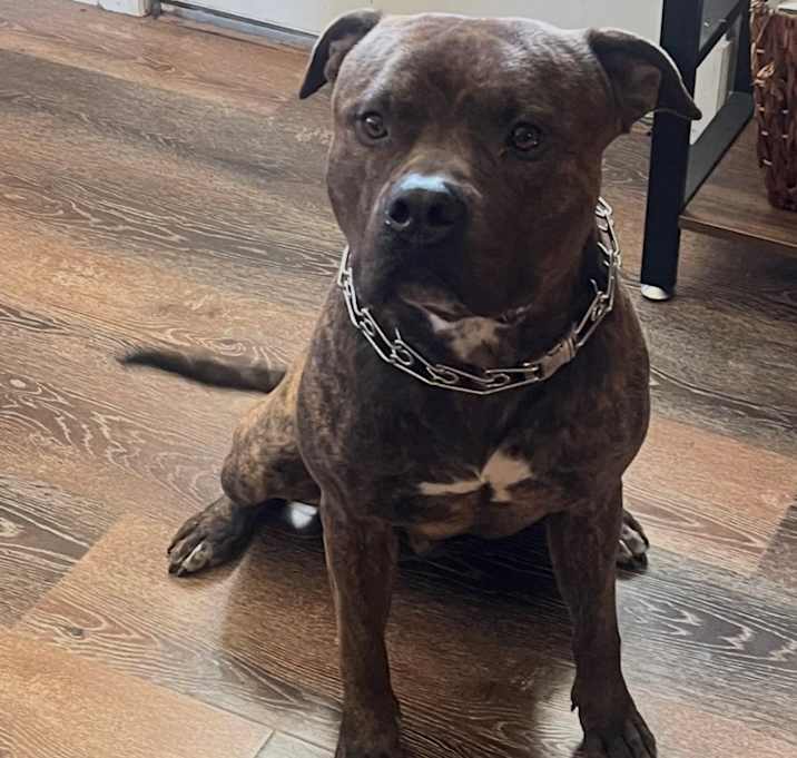 Photo of Whiskey