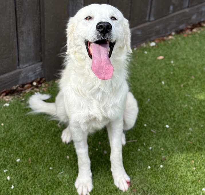 Photo of Maisy