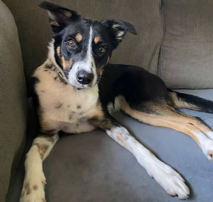 Photo of Lenny
